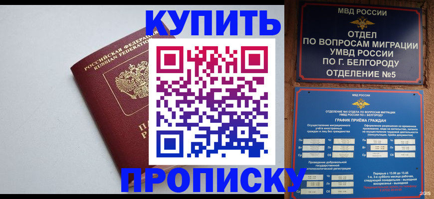 прописка регистрация в Камешково